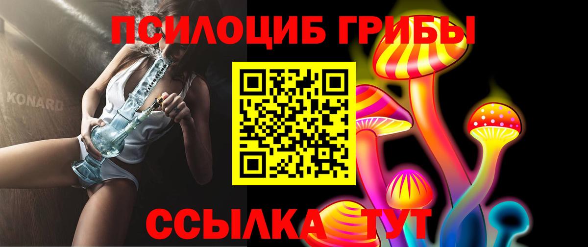 Псилоцибиновые грибы Cubensis Миллерово